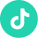 TikTok Icon
